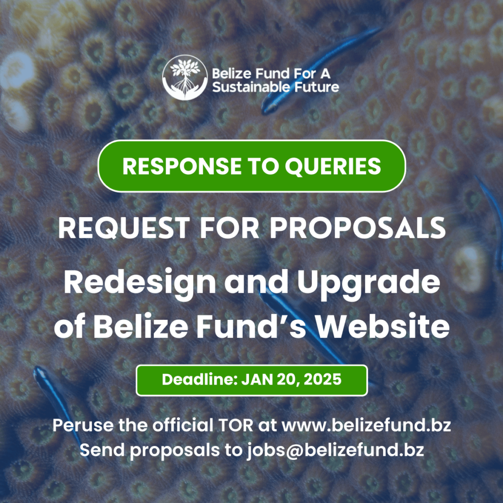 Response to Queries: Request for Proposals for the Redesign and Upgrade of Belize Fund’s Website
