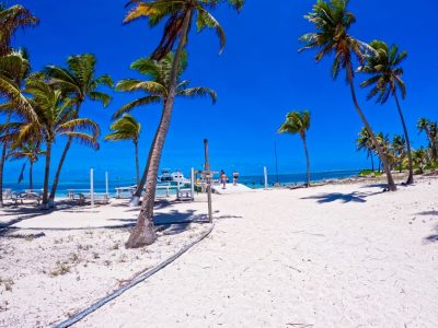 Half-Moon-Caye.-Belize-Fund